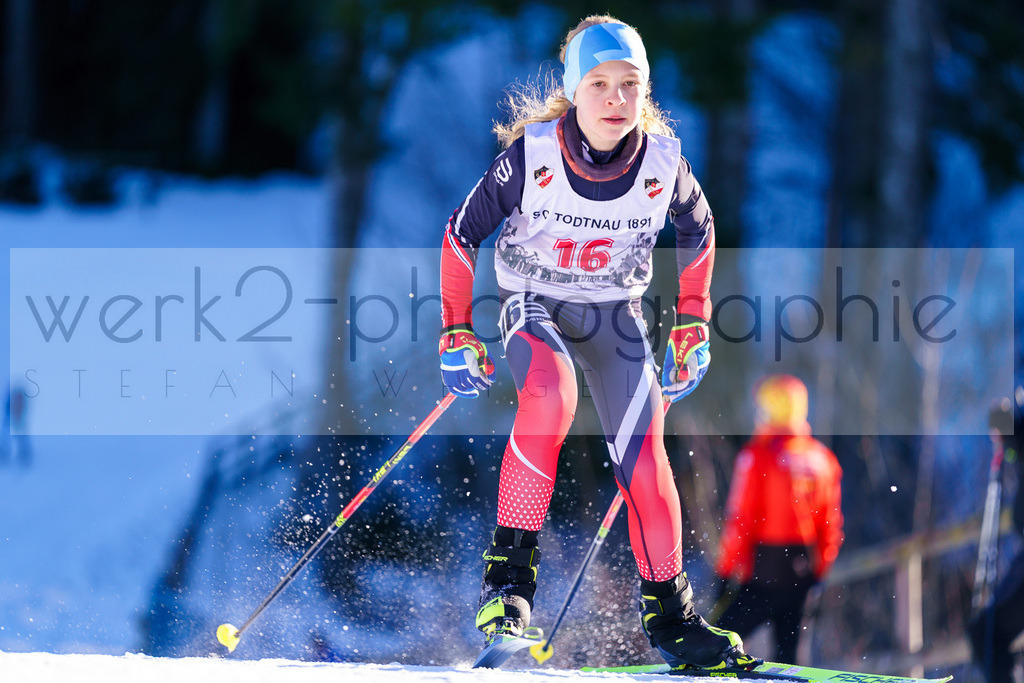 DSC Notschrei | 2. DSV E.INFRA Schülercup im Nordic-Center Notschrei am 17. bis 19. Januar 2025