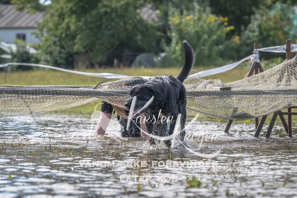 1208_ZZ90309 | kk-dogfotos