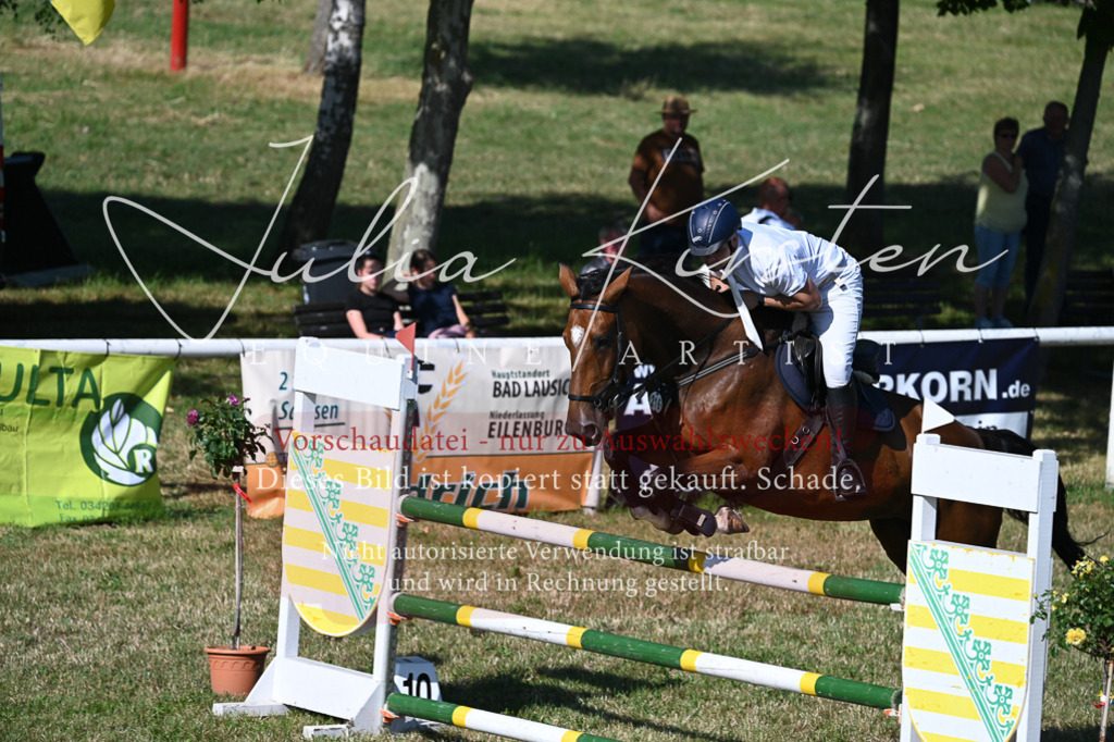 DSC_2185 | Pferde- und Turnierfotografie in Westsachsen. Pferdeportraits, Auftragszeichnungen und intuitive Kunst.