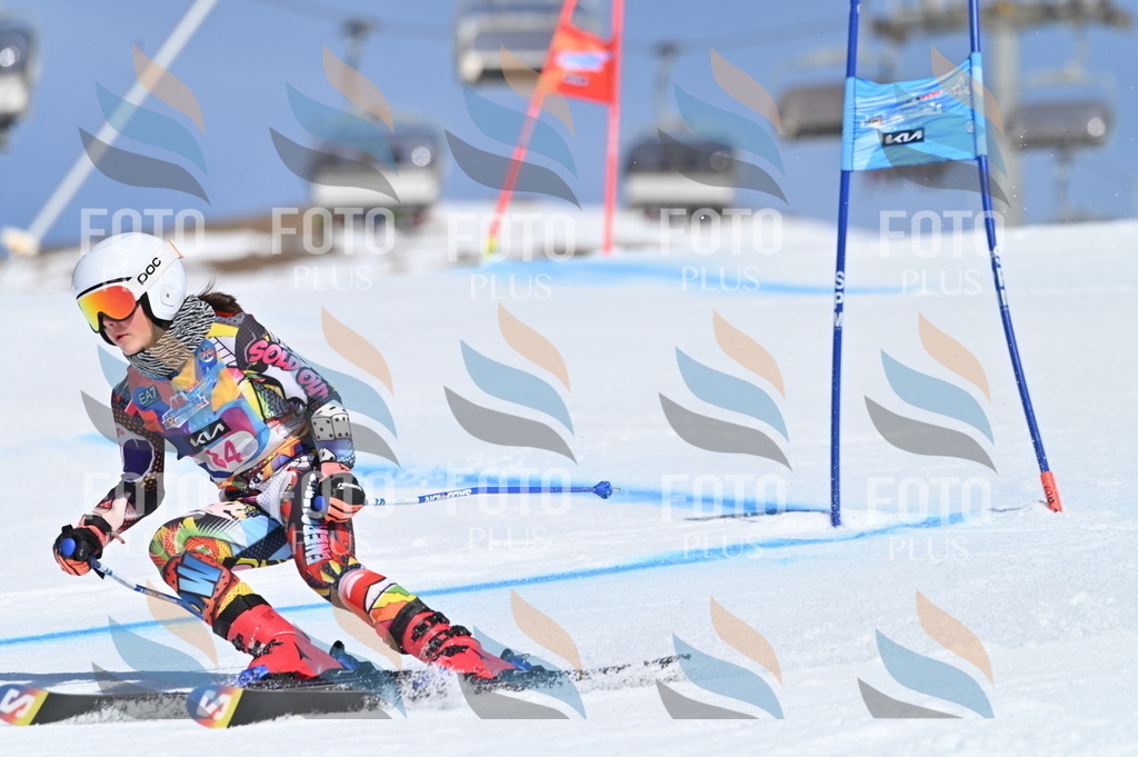 BGV_9147 | holidayphoto