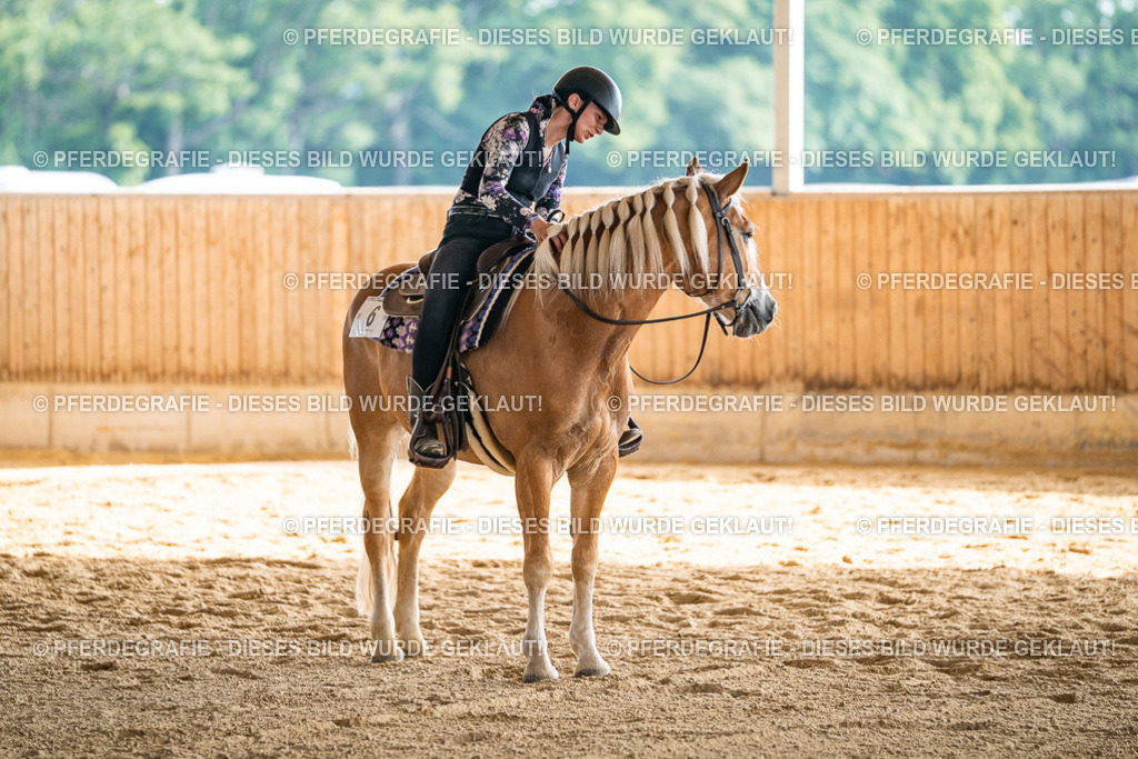 DSC08359 | Pferdegrafie