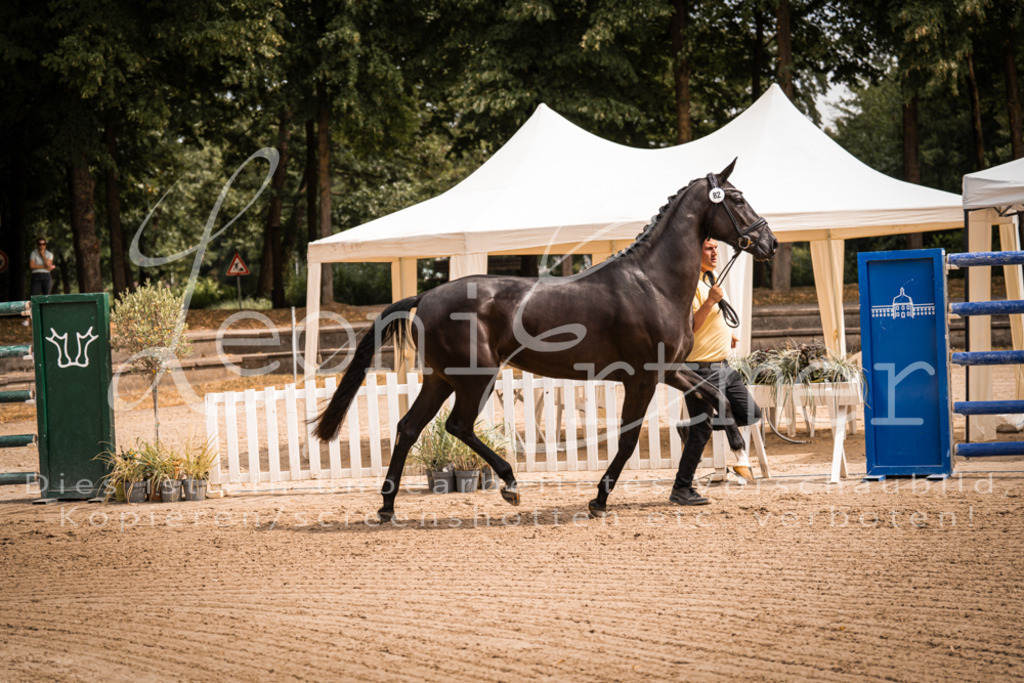 4.Fr00138 | Leoni Ertmer Photography - Realisiert mit Pictrs.com