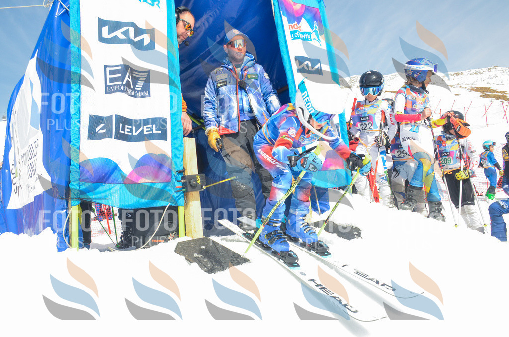 _ELE6679 | holidayphoto