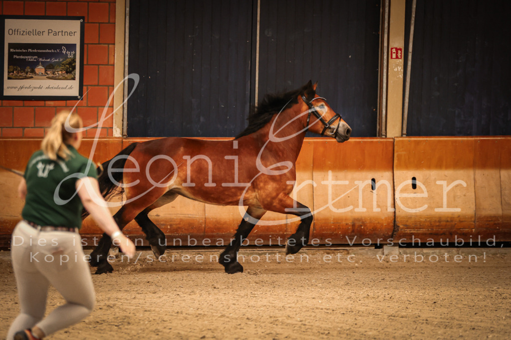 SaFL00045 | Leoni Ertmer Photography - Realisiert mit Pictrs.com