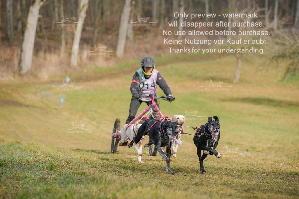 Sa_Gespanne-34 | stephaniefillaphotographie - Realisiert mit Pictrs.com