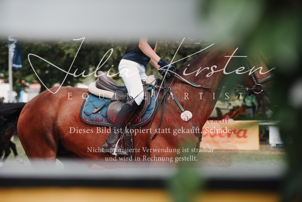 DSC_5696 | Pferde- und Turnierfotografie in Westsachsen. Pferdeportraits, Auftragszeichnungen und intuitive Kunst.