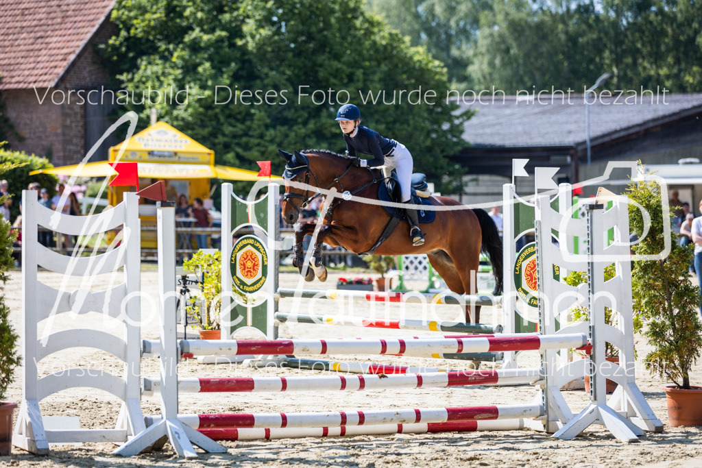 Donop24-ESpr-006 | MomenTaufnahmen Pferdesportfotos