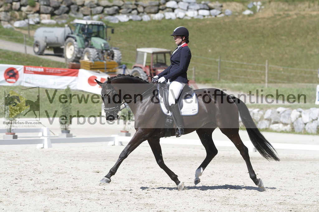 _MG_0246 | equestrian-live-com