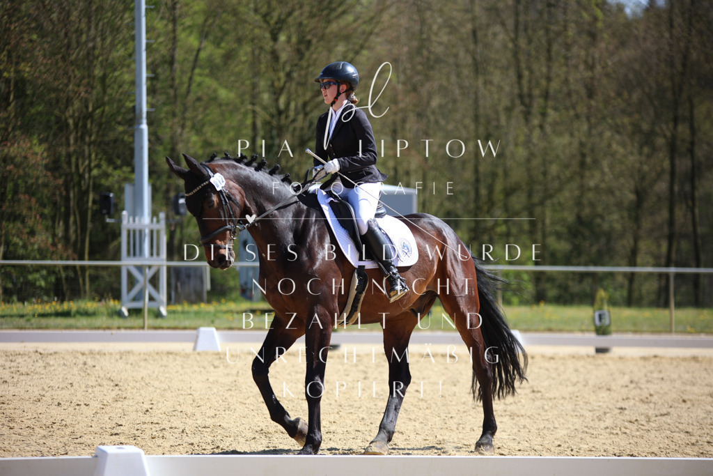 IMGT1973 | pl-fotografie