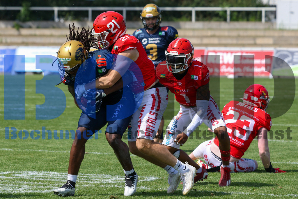 GFL: Potsdam Royals vs. Dresden Monarchs{date} -  | {headline}(Foto: Thomas Sobotzki / BOND) - Realisiert mit Pictrs.com
