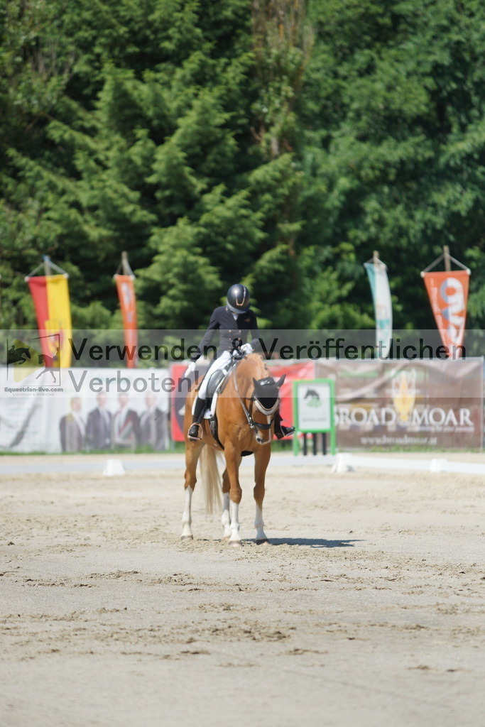 DSC03138 | equestrian-live-com