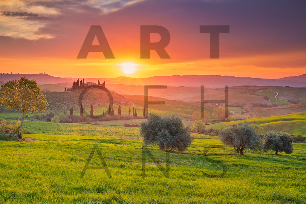 Ein Hans Fineart Original | Entdecke die Kunst von Hans Fineart - Fotografien für dein Zuhause. Verwandle deine Wände mit einzigartigen Kunstwerken und bringe die Schönheit der Welt in dein Leben. Bestelle jetzt und schaffe einen Ort der Inspiration und Eleganz.