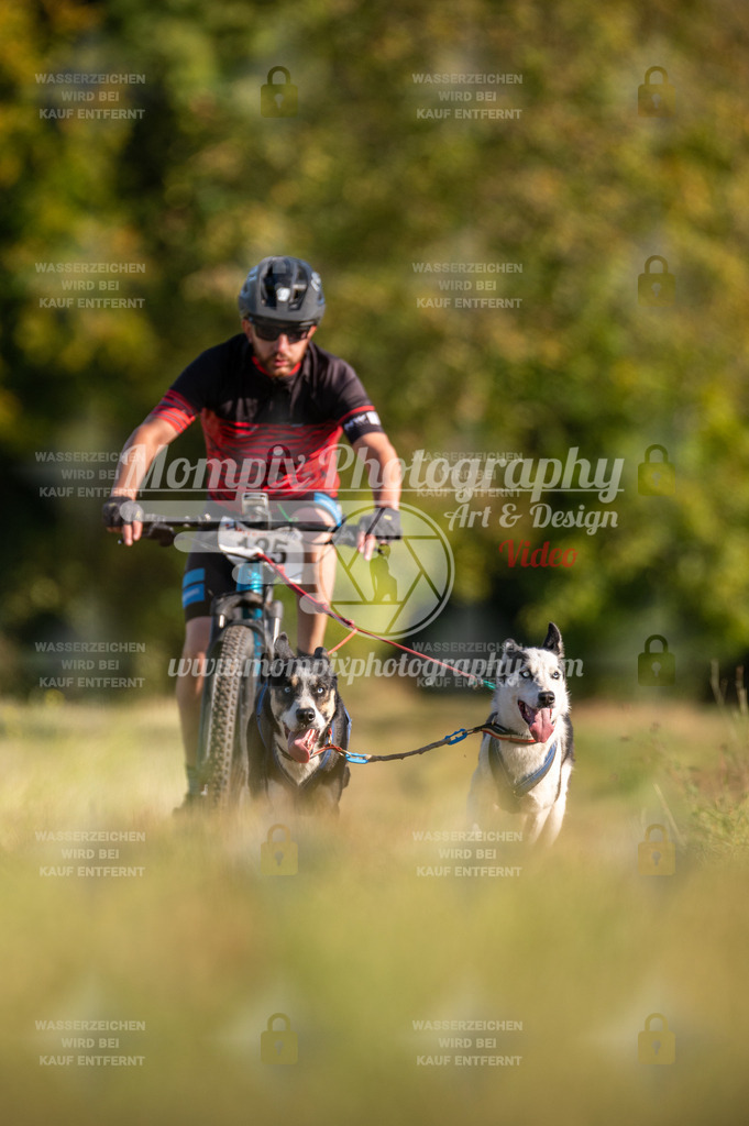 CDLBDB_15_10_2023_Dimanche-320 | mompixphotography