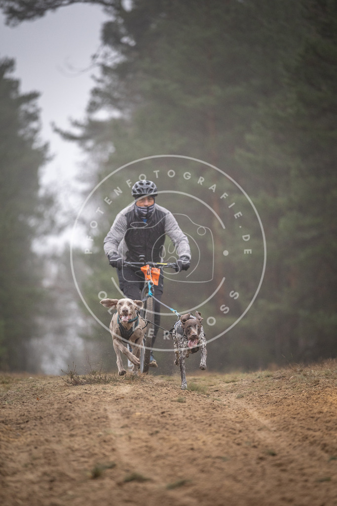 Pfotenfotografie_DV3A1081 | Hundefotografie, Tierfotograf, Pfotenfotografie, Fotoshooting Hund, Hunde Portrait, Hundesport, Hundeportraits, Heideshooting, Hunde, Sportfotograf, Hundefotograf, Turnierhundsport, THS,  - Realisiert mit Pictrs.com