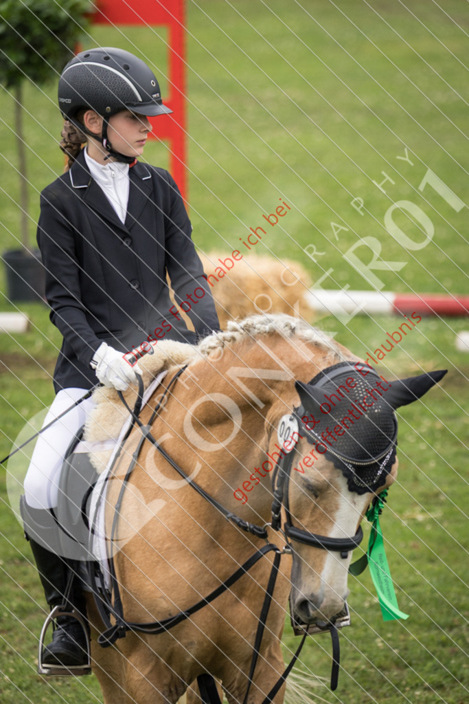 IMG_1887 | Sport-, Event- und Tierfotos in Profiqualität. Einfach auswählen, bestellen und herunterladen. Dein Moment – perfekt festgehalten.