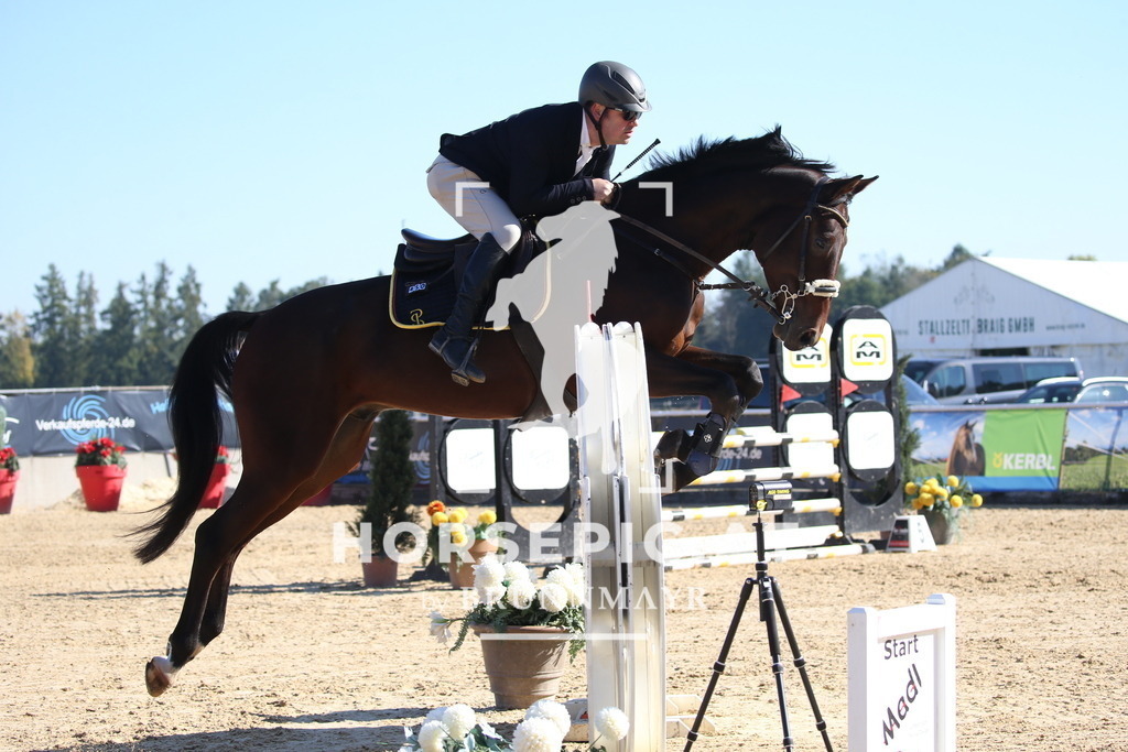 DL2Q1717 | Willkommen bei Brunnmayr - Design & Fotografie – Ihrem Spezialisten für Reitturniere und Pferdeveranstaltungen in Oberösterreich, Salzburg und Bayern! Seit über 17 Jahren sind wir leidenschaftlich dabei.