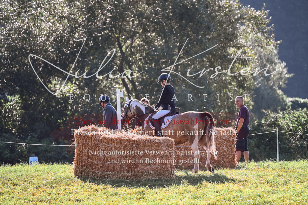 DSC_0319 | Pferde- und Turnierfotografie in Westsachsen. Pferdeportraits, Auftragszeichnungen und intuitive Kunst.