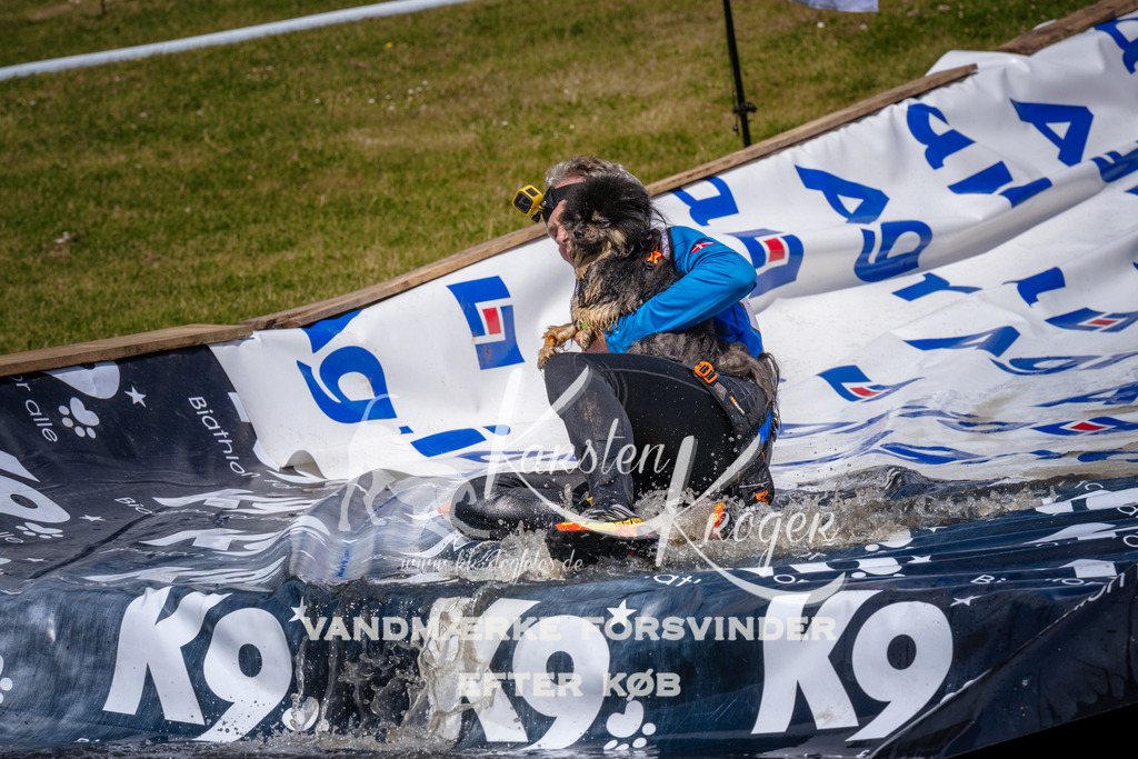 _ZZ971501023 | kk-dogfotos