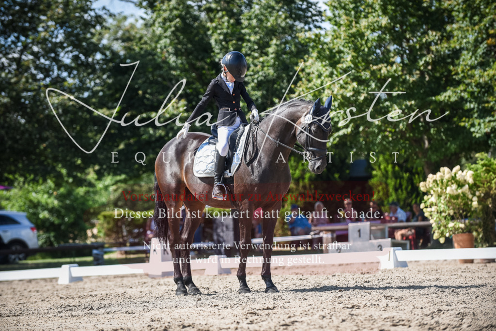 DSC_9542 | Pferde- und Turnierfotografie in Westsachsen. Pferdeportraits, Auftragszeichnungen und intuitive Kunst.