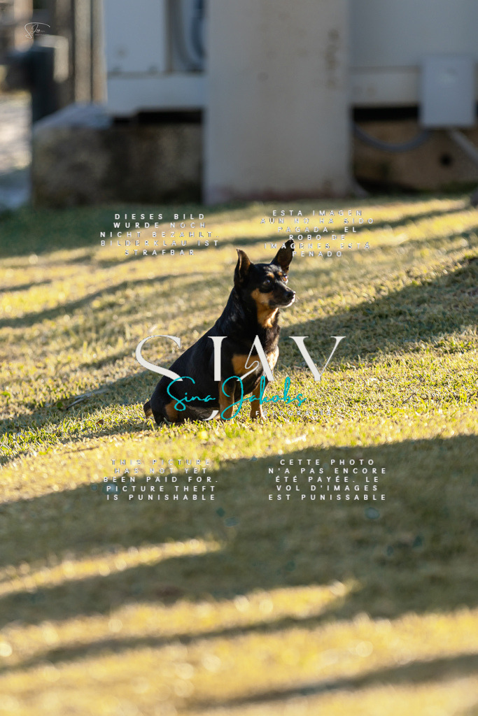 IMG_2254 | s-jay-photography - Realisiert mit Pictrs.com