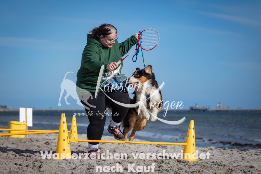 1352_ZZ94130 | kk-dogfotos
