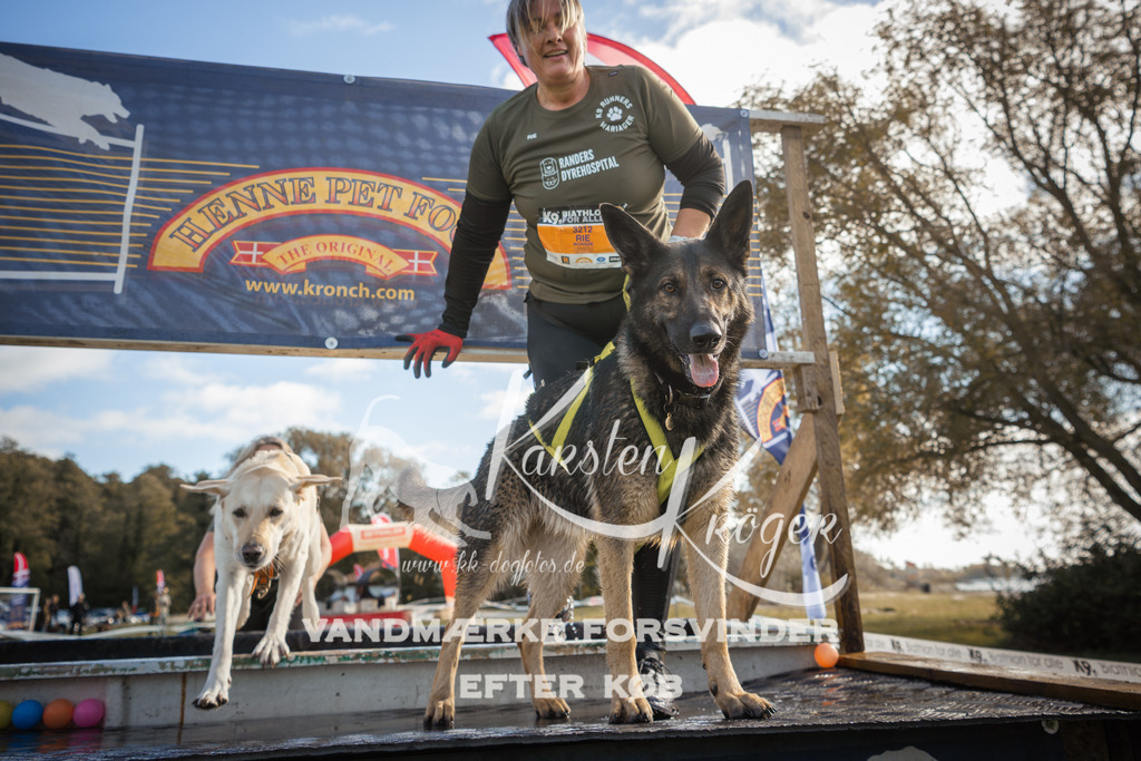 1309_ZZ99430-2 | kk-dogfotos