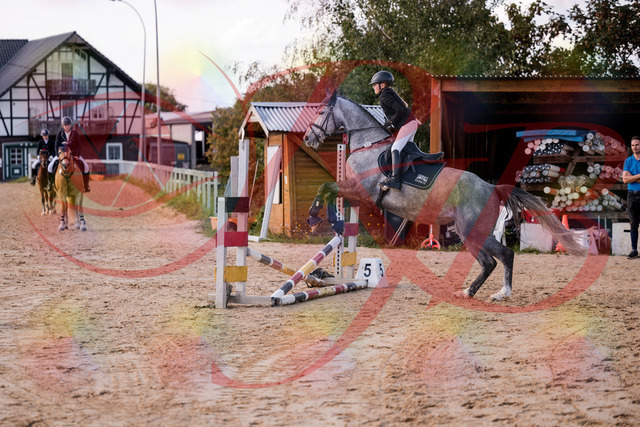 2026_10_03_Siefer-Hof_145129_Z81_30365113 | Professionelle Reitsport-, Turnier- und Eventfotografie von Robert Broda. Galerien mit ausgewählten und bearbeiteten Bildern direkt online ansehen und bestellen.