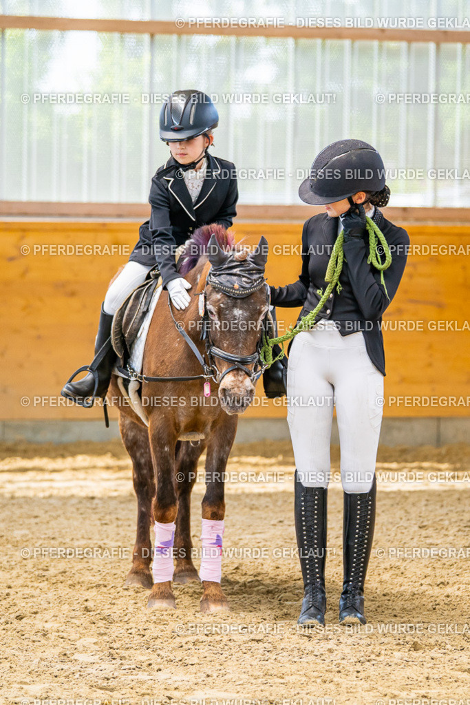 DSC00773 | Pferdegrafie