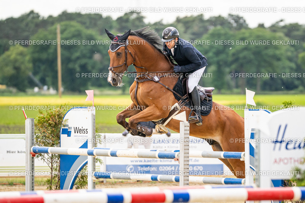 DSC06035 | Pferdegrafie