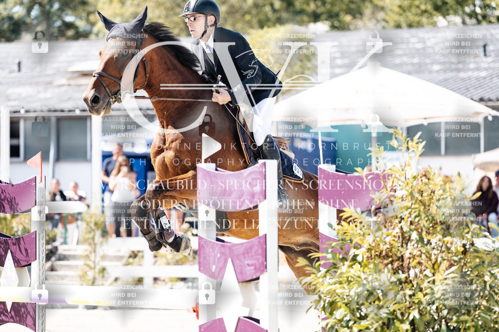 CK908599 | Turnierfotografie Pferdefotografie Trier Rheinland-Pfalz Pferdesport Reitsport Tierfotografie Sportfotografie Pferdevideo Pferdevideografie Equestrianvideography equestrianphotography  - Realisiert mit Pictrs.com