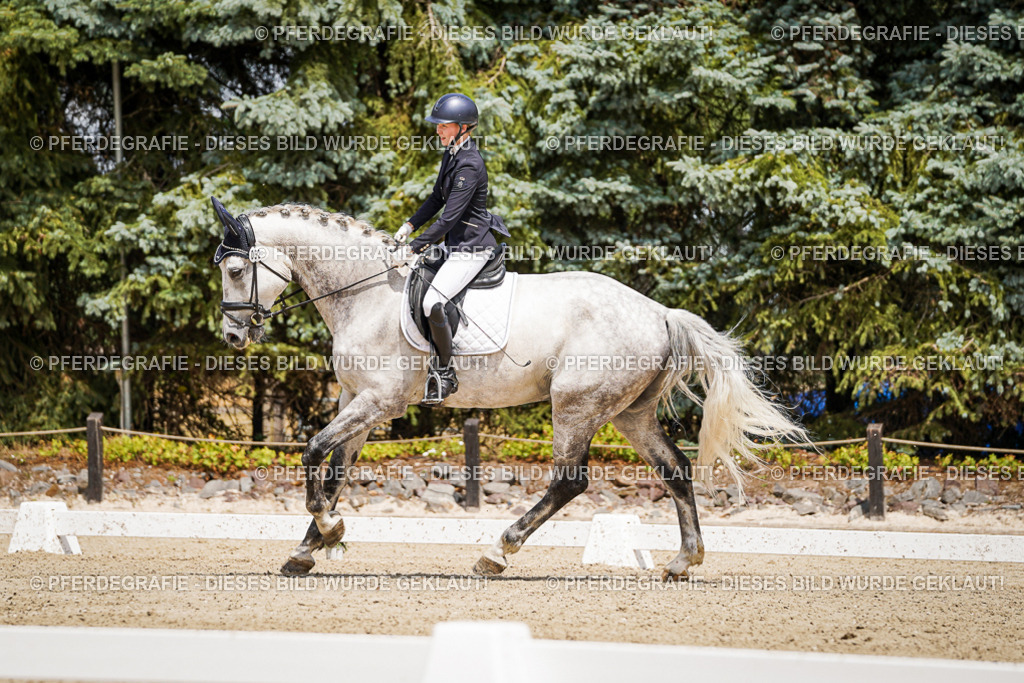 DSC02372 | Pferdegrafie