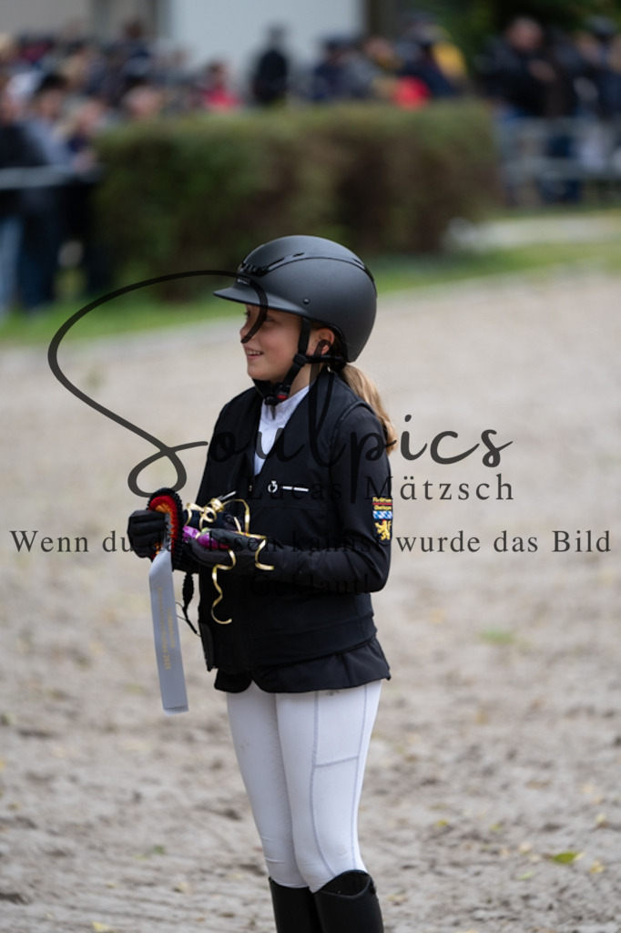 A7V09839 | Pferdefotograf