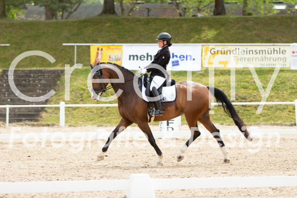 IMG_2868 | Creatify Fotografie