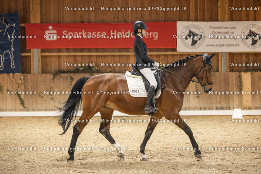 _D5A0116 | Emotionale Pferde- & People-Fotografie rund um Heidelberg, Leimen & Umgebung. Natürliche Fotos von Pferd, Mensch & Familie. Jetzt Termin sichern!