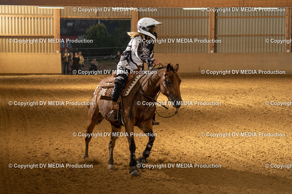 LAU01157 | dv-media-shop - Realisiert mit Pictrs.com