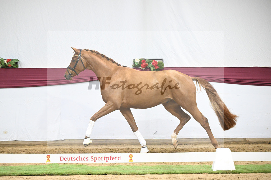 Kat-Nr. 133 Von Und Zu x Locksley III_Sabine Lehner_47254504 | hf-fotografie - Realisiert mit Pictrs.com