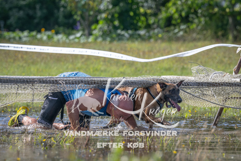 1137_ZZ90571 | kk-dogfotos