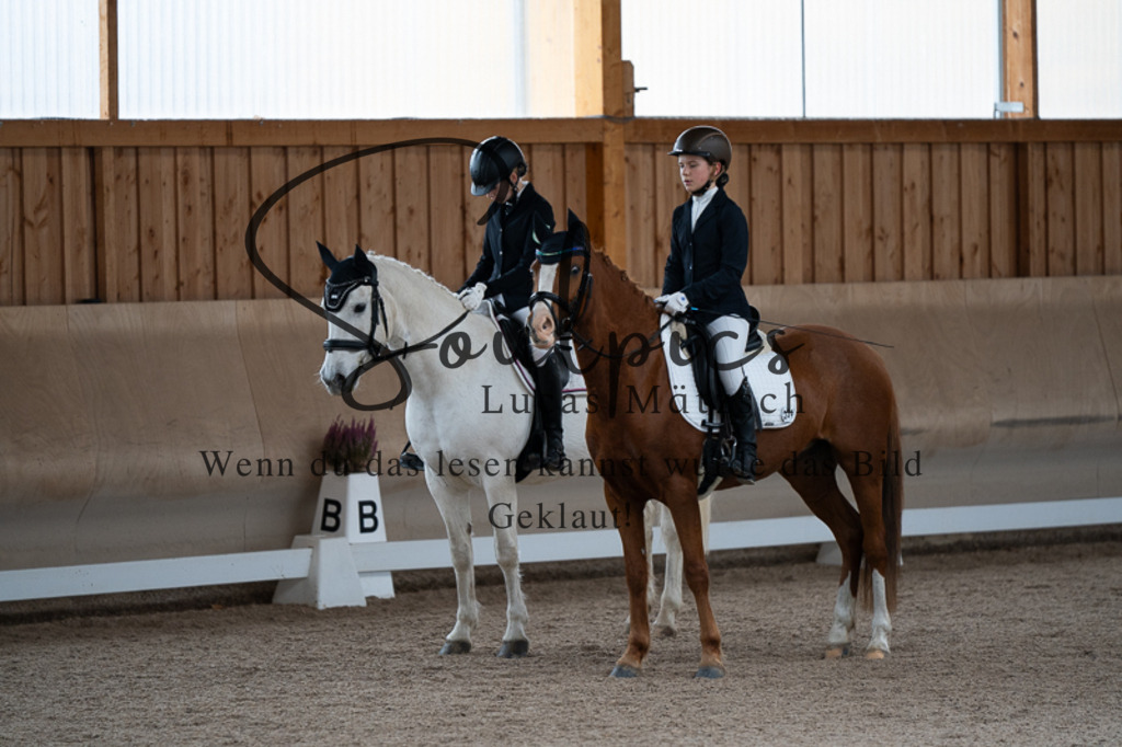 A7V02575 | Pferdefotograf