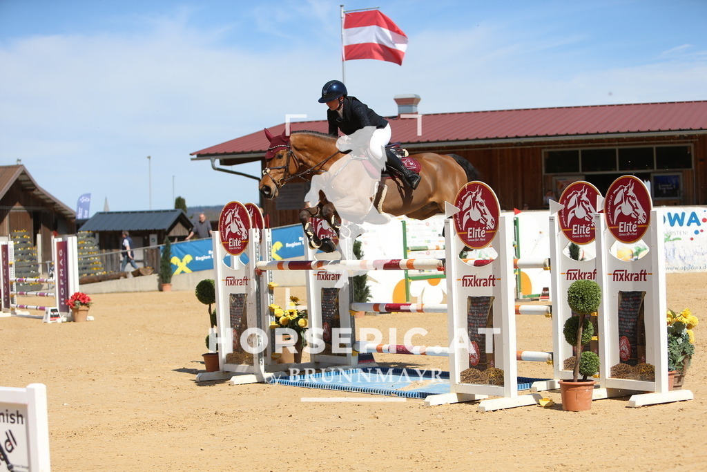 DL2Q5387 | Willkommen bei Brunnmayr - Design & Fotografie – Ihrem Spezialisten für Reitturniere und Pferdeveranstaltungen in Oberösterreich, Salzburg und Bayern! Seit über 17 Jahren sind wir leidenschaftlich dabei.