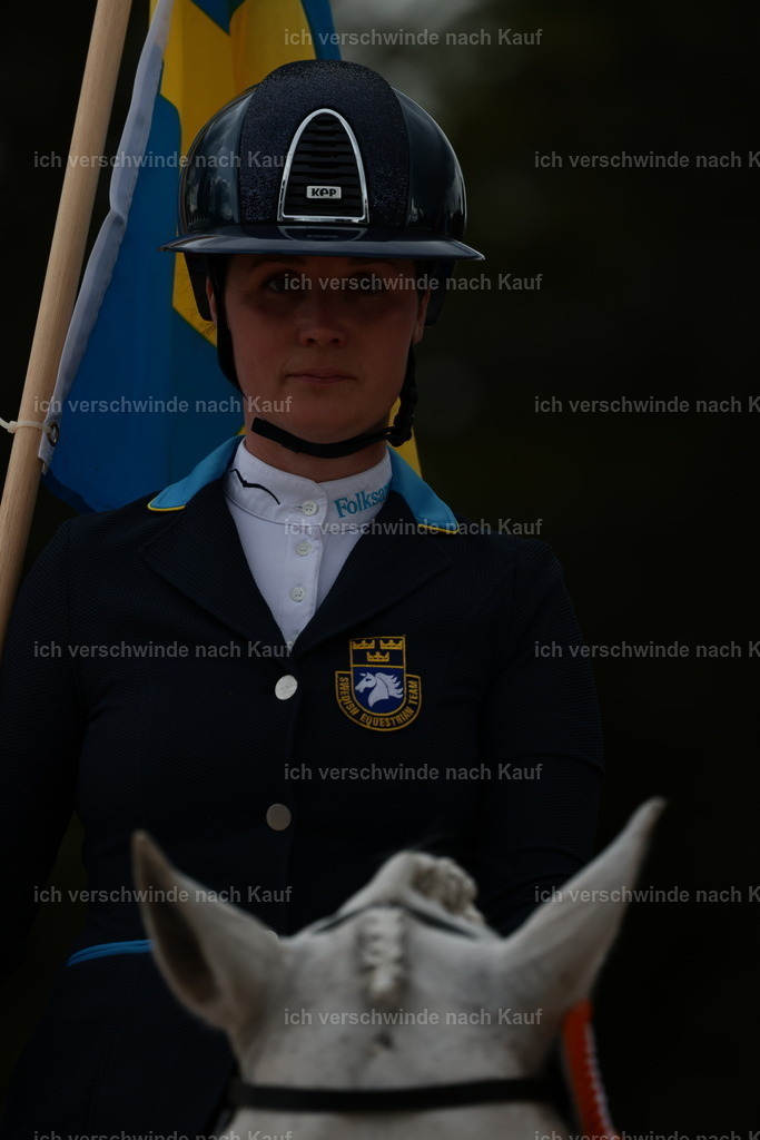 PI26_ST_StoibphotographyC2_L9186.JPG | working equitationturnier fotograf videograf stoibphotography marixx film working equitation deutschland reitsport turnierfotografie eventfotografie equestrian events