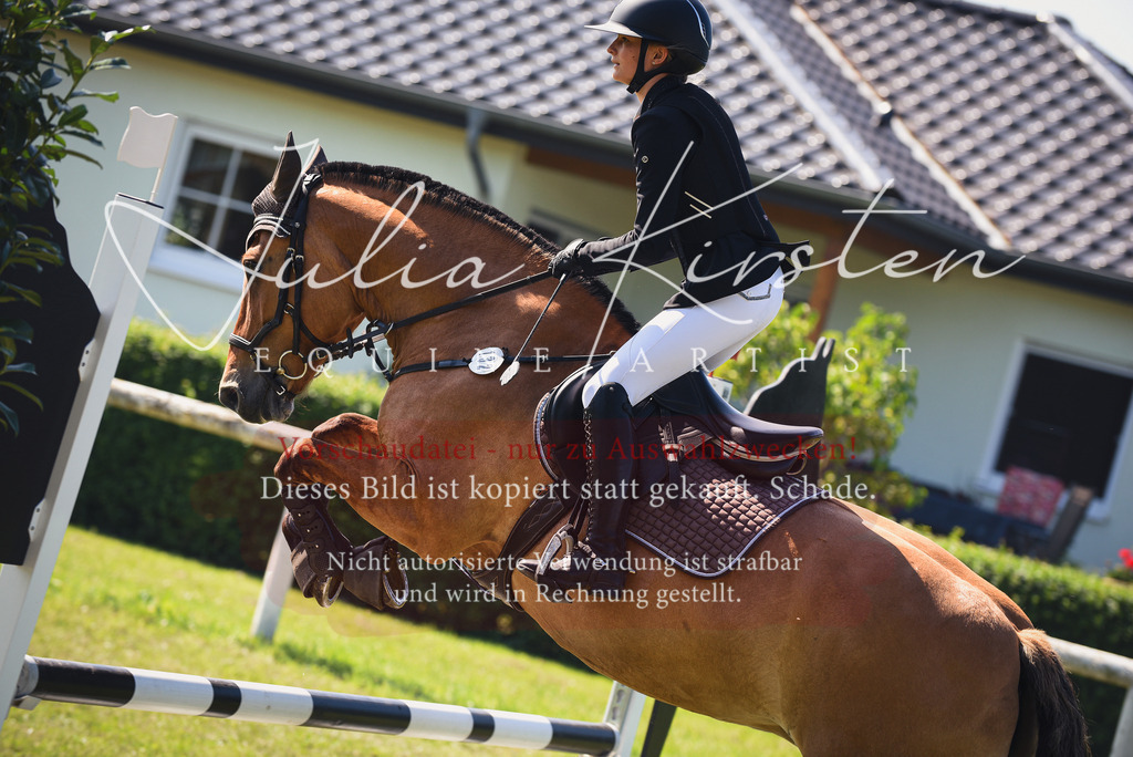 DSC_9246 | Pferde- und Turnierfotografie in Westsachsen. Pferdeportraits, Auftragszeichnungen und intuitive Kunst.