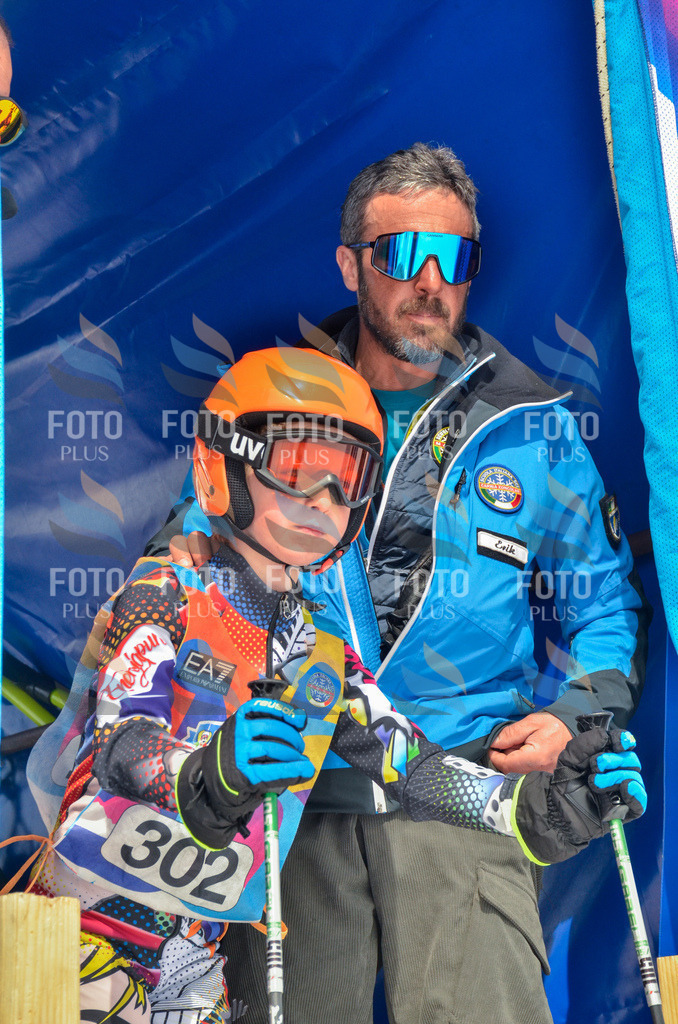 _ELE8261 | holidayphoto