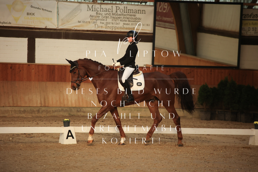 IMGT3286 | pl-fotografie