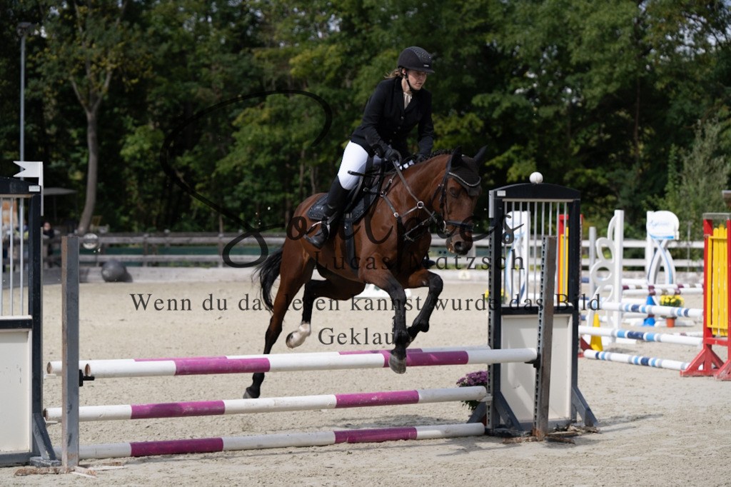 A7V07332 | Turnier/Reitfotograf