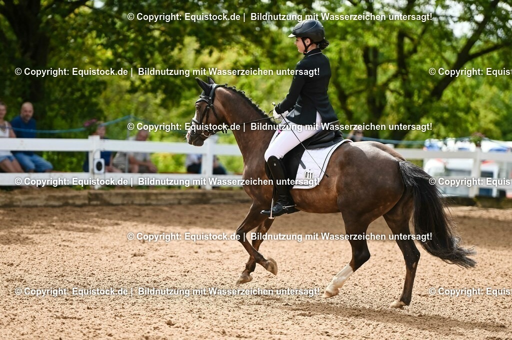 20230716_10-1_Reiter-WB Schritt - Trab - Galopp_0180 | equistock