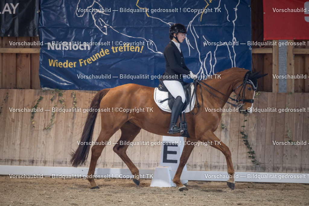 _D5A4898 | Emotionale Pferde- & People-Fotografie rund um Heidelberg, Leimen & Umgebung. Natürliche Fotos von Pferd, Mensch & Familie. Jetzt Termin sichern!