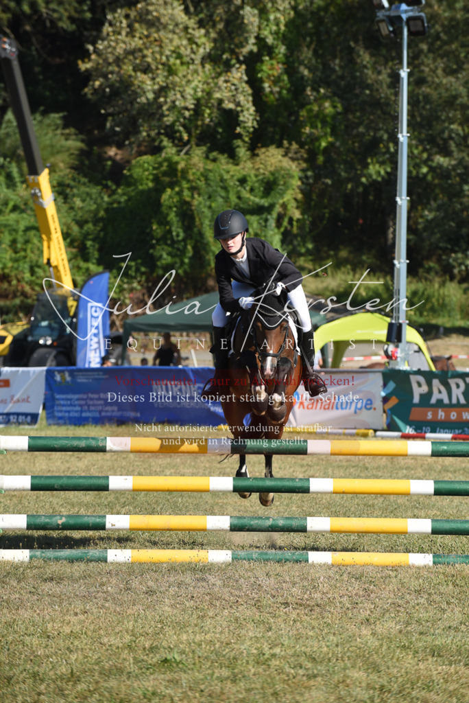 DSC_5413 | Pferde- und Turnierfotografie in Westsachsen. Pferdeportraits, Auftragszeichnungen und intuitive Kunst.