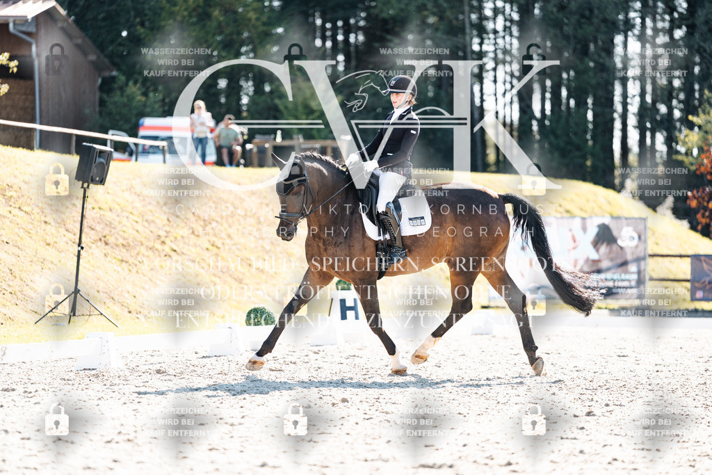 CK905916 | Turnierfotografie Pferdefotografie Trier Rheinland-Pfalz Pferdesport Reitsport Tierfotografie Sportfotografie Pferdevideo Pferdevideografie Equestrianvideography equestrianphotography  - Realisiert mit Pictrs.com