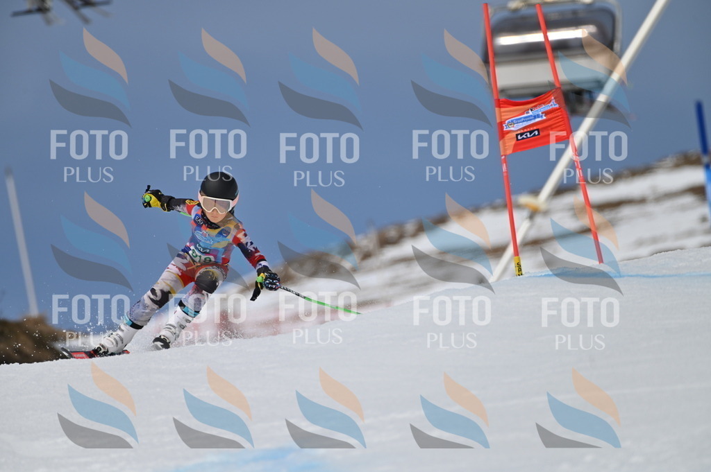 BGV_6273 | holidayphoto