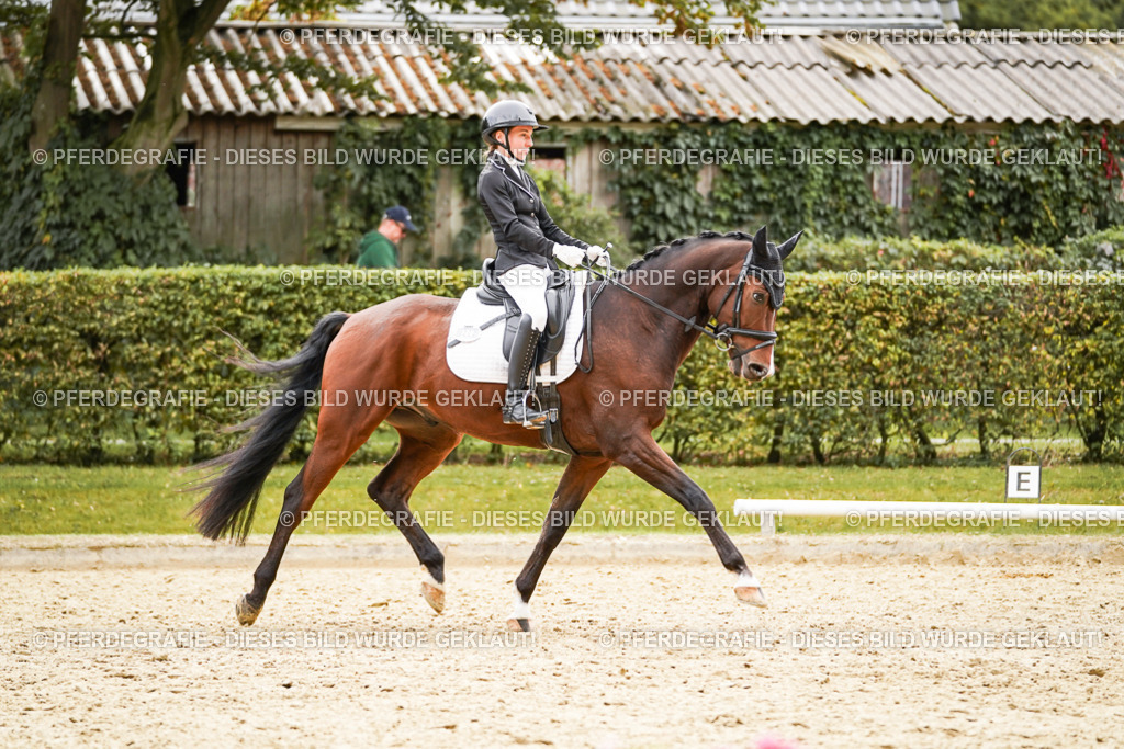 DSC02343 | Pferdegrafie